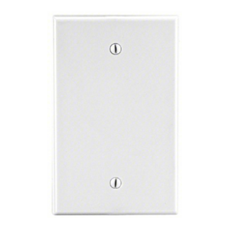 Blank Wall Plate With Screw Holes